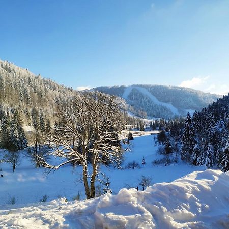 La Bresse - Appartement De Charme ภายนอก รูปภาพ