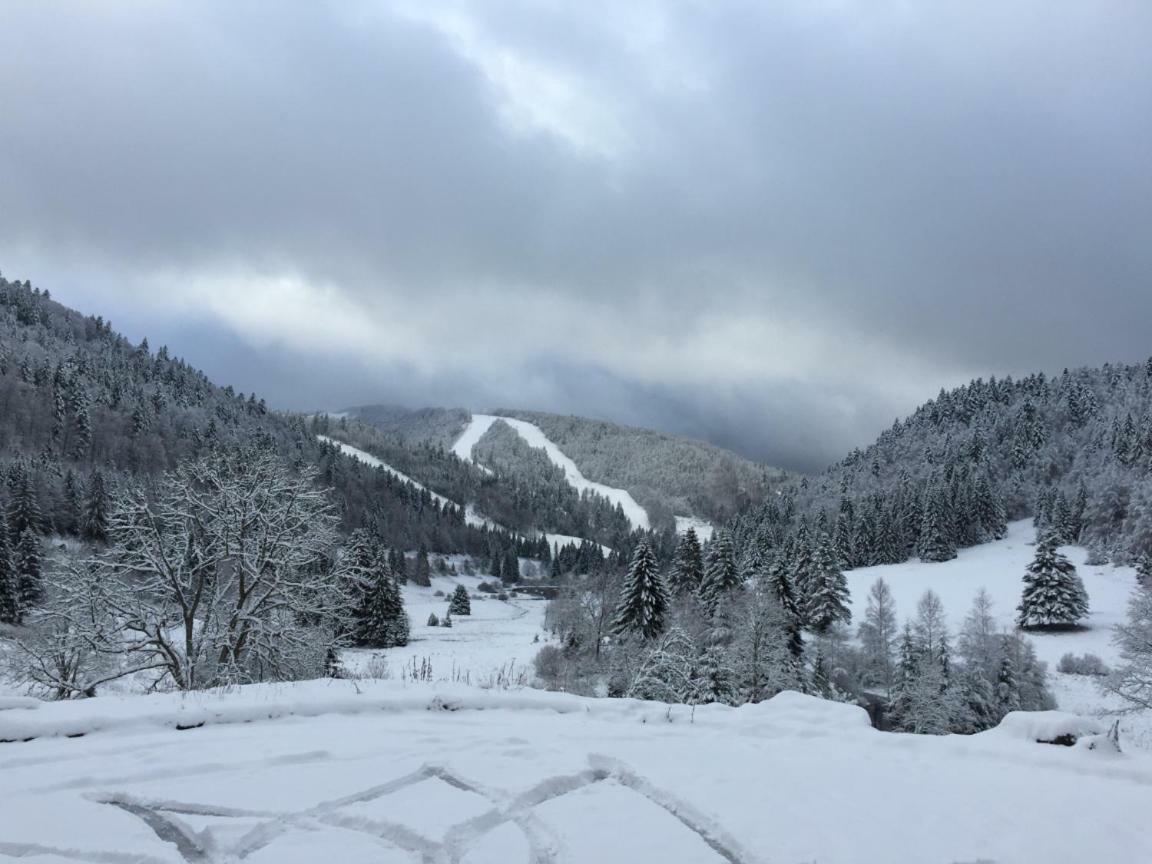 La Bresse - Appartement De Charme ภายนอก รูปภาพ